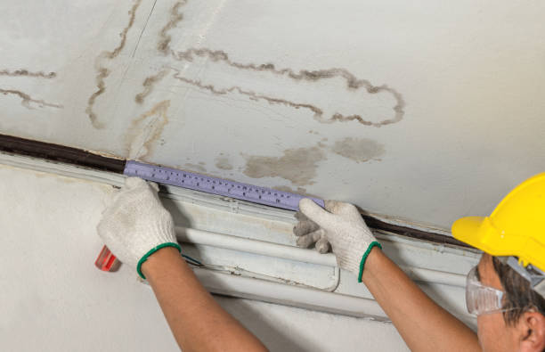 Reliable Structural Drying contractor in Elmwood Park, NJ by Aqua Guard Water Damage